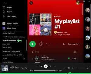 check who liked your spotify playlist on Windows/mac