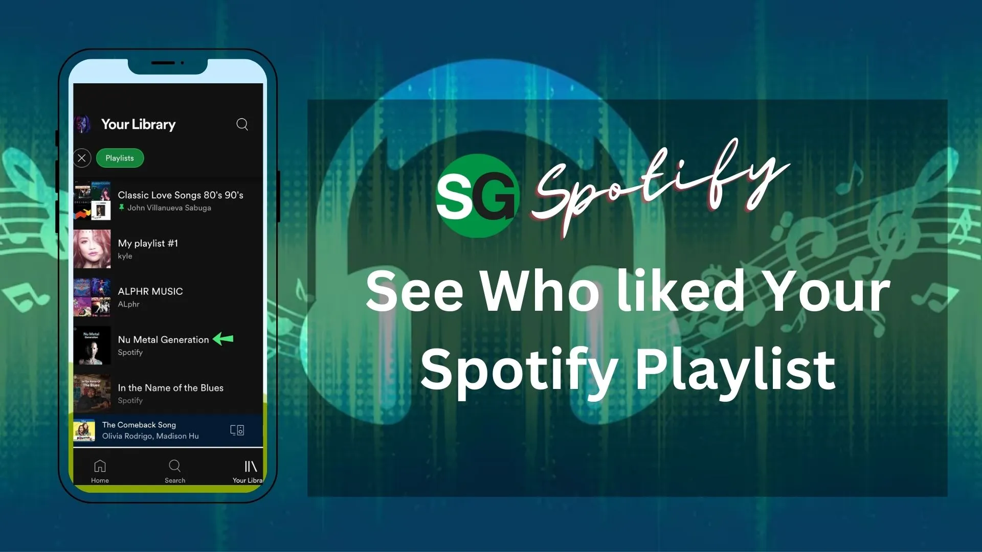 see who liked your spotify playlist