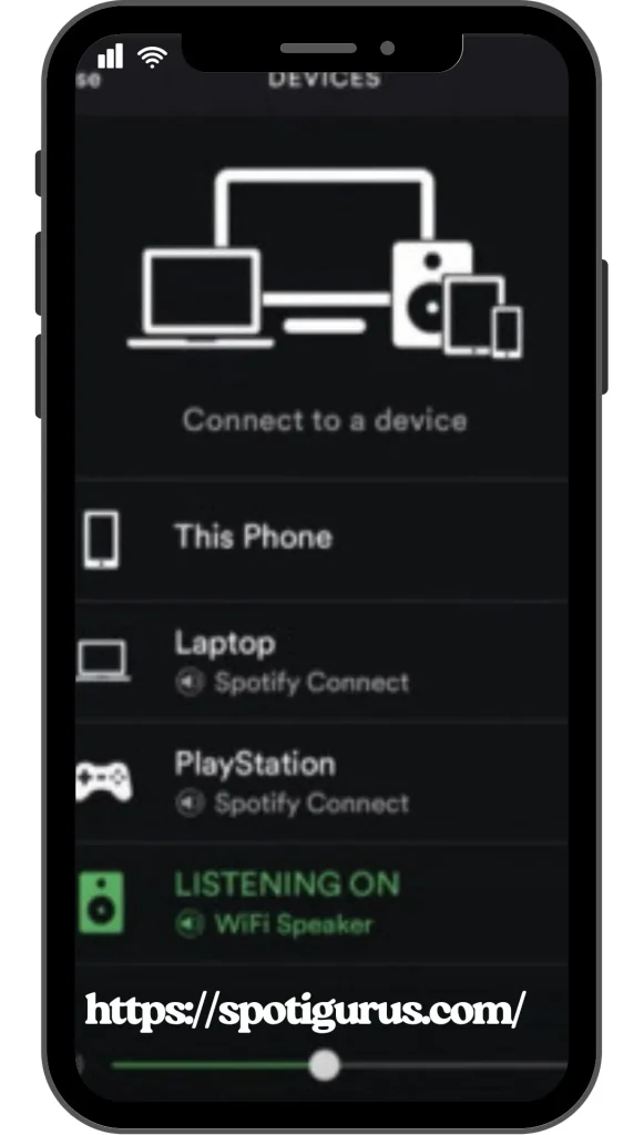 Spotify Connect Feature