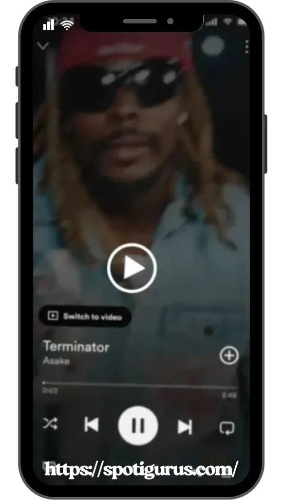 Spotify Music Videos